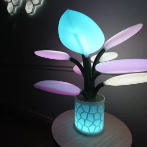 LAMPE 3D