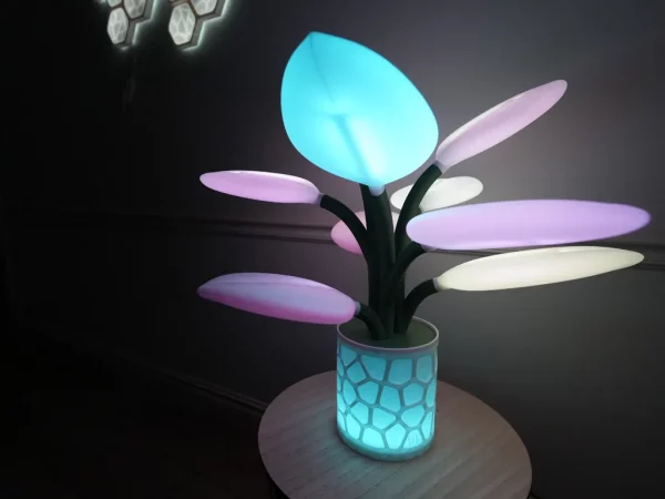 LAMPE 3D